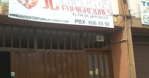 JL EXPERTOS FUMIGACIONES JL EXPERTOS FUMIGACIONES